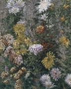 Gustave Caillebotte White and yellow chrysanthemum Germany oil painting reproduction